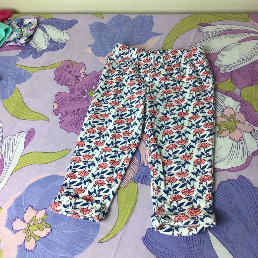 Like New Toddler Girl  Lot 4 pieces   2 sets Carter’s